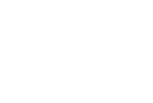 Factory Ford Certified Mechanics